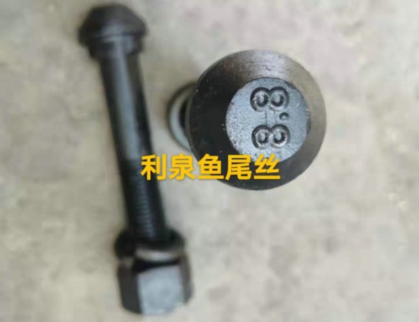 β˨
