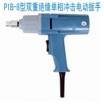 P1B-16˫ؾԵ綯