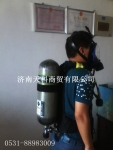 RHZKF6.8/30ѹʽ