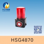 HSG4870