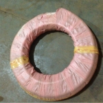 Ĵֱ
