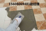ɶʯճӼ