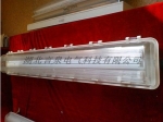 FLY57-2x36Wˮӫ