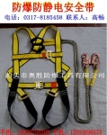 簲ȫ