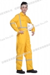 ȼ,,ȼ,nomex,nomex
