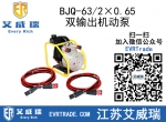 BJQ-63/20.65˫