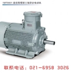 ӱ÷1MT0001-100L-3KW