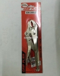 ǯǯǯ5,
