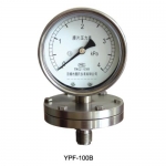 YPF-100Bѹ