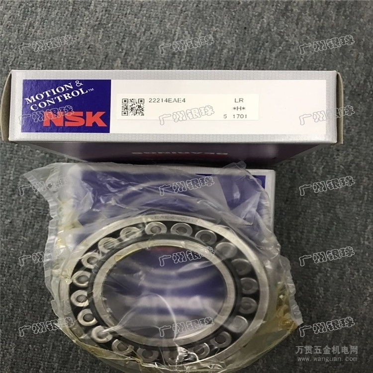 NSK