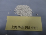 PBT25%
