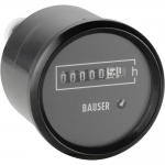 ¹BAUSERʱ