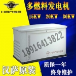 30KWȼȻǮ