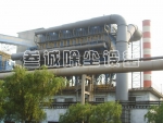 TLCM͸岼
